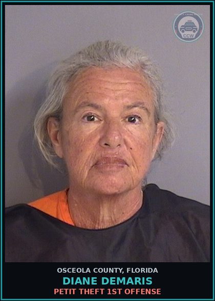 CCW arrest card for DIANE DEMARIS in Osceola County: PETIT THEFT 1ST OFFENSE