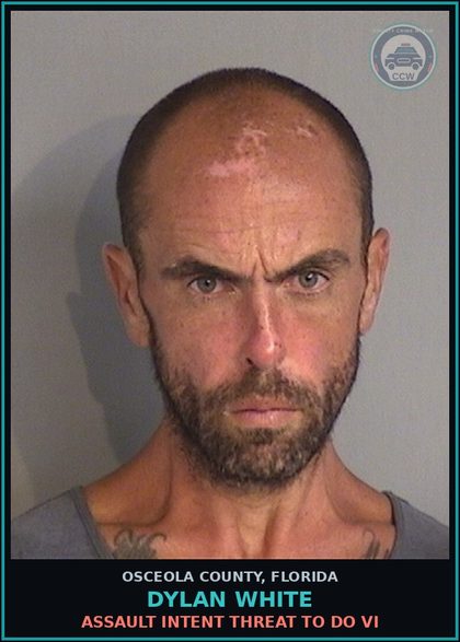 CCW arrest card for DYLAN WHITE in Osceola County: ASSAULT INTENT THREAT TO DO VI