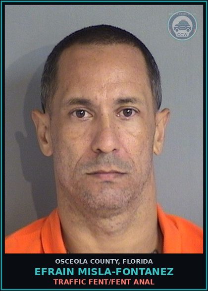 CCW arrest card for EFRAIN MISLA-FONTANEZ in Osceola County: TRAFFIC Fent/Fent ANAL