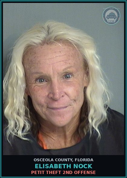 CCW arrest card for ELISABETH NOCK in Osceola County: PETIT THEFT 2ND OFFENSE