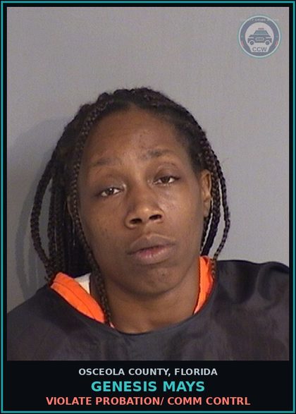 CCW arrest card for GENESIS MAYS in Osceola County: VIOLATE PROBATION/ COMM CONTRL