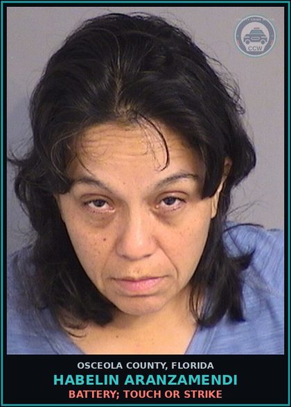 CCW arrest card for HABELIN ARANZAMENDI in Osceola County: BATTERY; TOUCH OR STRIKE