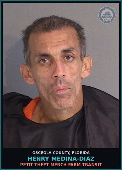 CCW arrest card for HENRY MEDINA-DIAZ in Osceola County: PETIT THEFT MERCH FARM TRANSIT