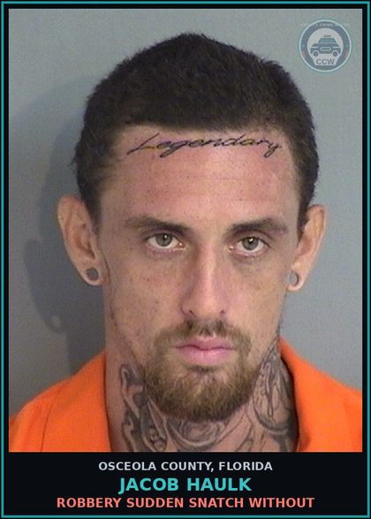 CCW arrest card for JACOB HAULK in Osceola County: ROBBERY SUDDEN SNATCH WITHOUT