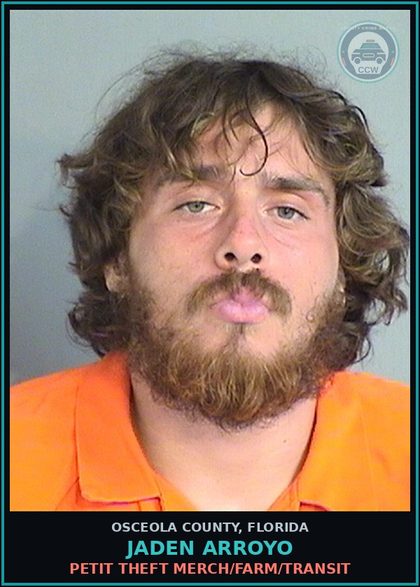 CCW arrest card for JADEN ARROYO in Osceola County: PETIT THEFT MERCH/FARM/TRANSIT
