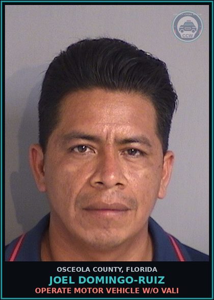 CCW arrest card for JOEL DOMINGO-RUIZ in Osceola County: OPERATE MOTOR VEHICLE W/O VALI