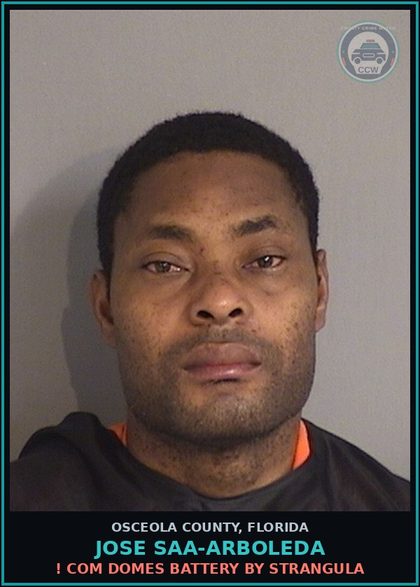 CCW arrest card for JOSE SAA-ARBOLEDA in Osceola County: ! COM DOMES BATTERY BY STRANGULA