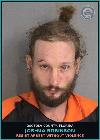 CCW arrest card for JOSHUA ROBINSON in Osceola County: POSSESS contr substance W