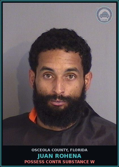 CCW arrest card for JUAN ROHENA in Osceola County: POSSESS contr substance W