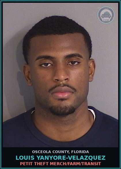 CCW arrest card for LOUIS YANYORE-VELAZQUEZ in Osceola County: PETIT THEFT MERCH/FARM/TRANSIT