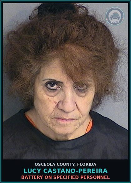 CCW arrest card for LUCY CASTANO-PEREIRA in Osceola County: DUI INFLUENCE OF ALCOHOL OR DR