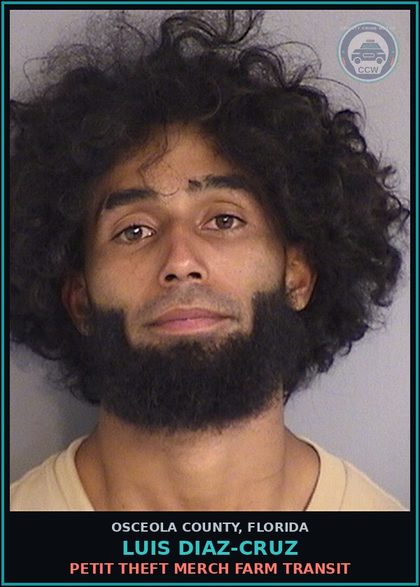 CCW arrest card for LUIS DIAZ-CRUZ in Osceola County: CRIMINAL MISCHIEF $200 OR LESS