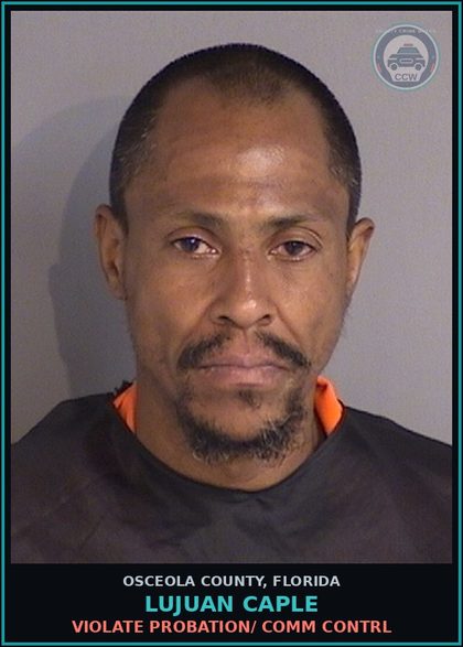 CCW arrest card for LUJUAN CAPLE in Osceola County: VIOLATE PROBATION/ COMM CONTRL
