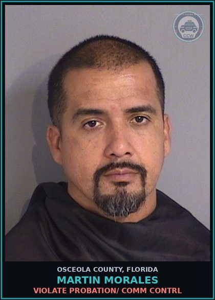 CCW arrest card for MARTIN MORALES in Osceola County: VIOLATE PROBATION/ COMM CONTRL