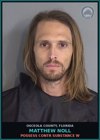 CCW arrest card for MATTHEW NOLL in Osceola County: POSSESS contr substance W