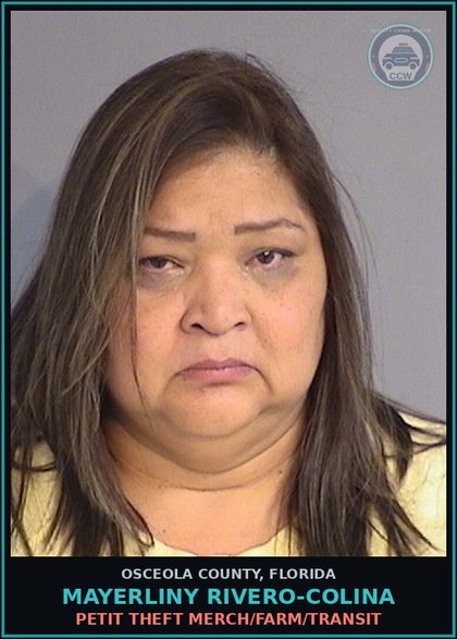 CCW arrest card for MAYERLINY RIVERO-COLINA in Osceola County: PETIT THEFT MERCH/FARM/TRANSIT