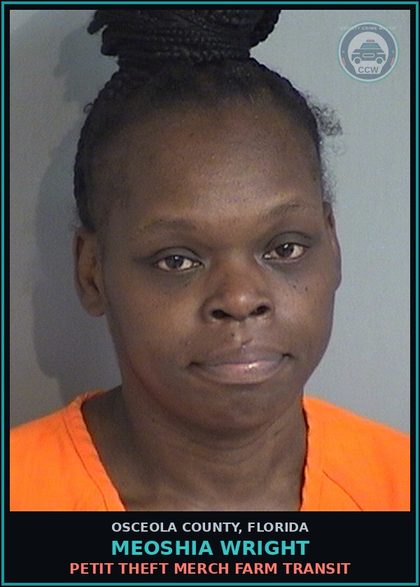 CCW arrest card for MEOSHIA WRIGHT in Osceola County: PETIT THEFT MERCH FARM TRANSIT