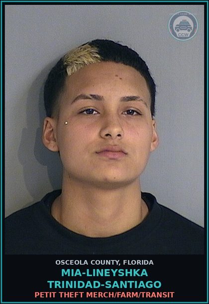 CCW arrest card for MIA-LINEYSHKA TRINIDAD-SANTIAGO in Osceola County: PETIT THEFT MERCH/FARM/TRANSIT