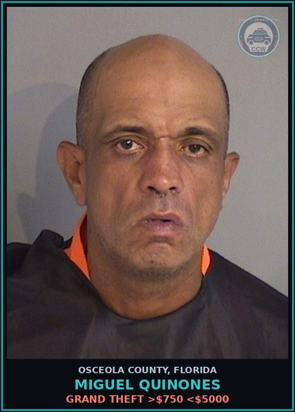 CCW arrest card for MIGUEL QUINONES in Osceola County: GRAND THEFT >$750 <$5000