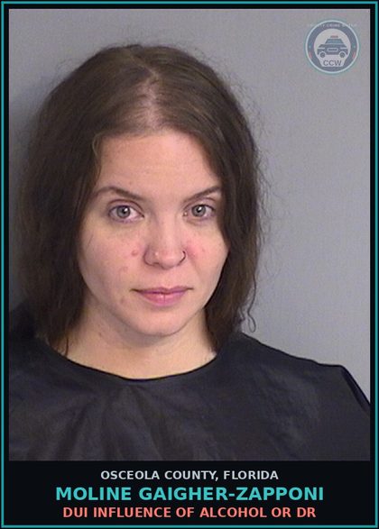 CCW arrest card for MOLINE GAIGHER-ZAPPONI in Osceola County: DUI INFLUENCE OF ALCOHOL OR DR