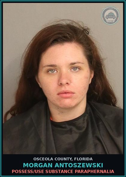 CCW arrest card for MORGAN ANTOSZEWSKI in Osceola County: POSSESS/USE DRUG PARAPHERNALIA