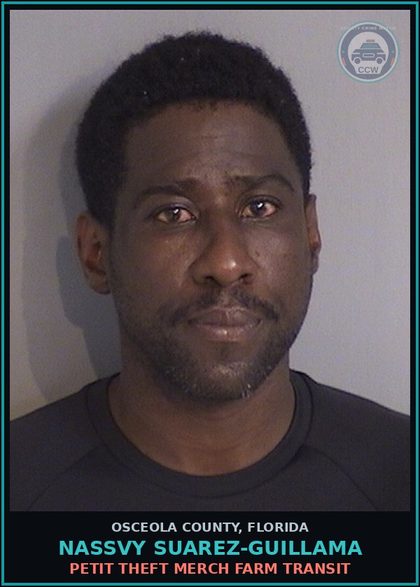 CCW arrest card for NASSVY SUAREZ-GUILLAMA in Osceola County: PETIT THEFT MERCH FARM TRANSIT