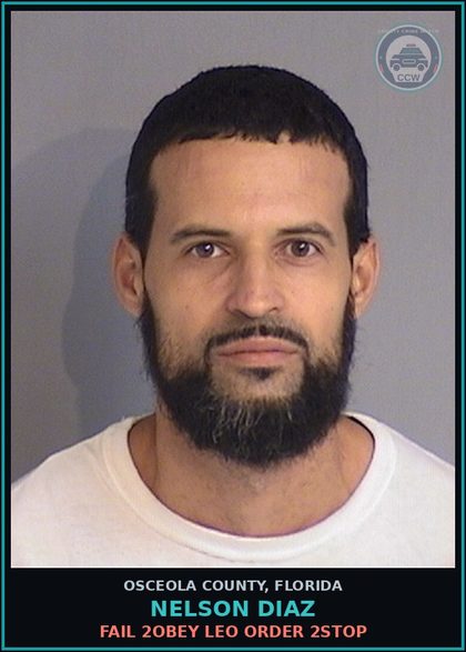 CCW arrest card for NELSON DIAZ in Osceola County: FAIL 2OBEY LEO ORDER 2STOP