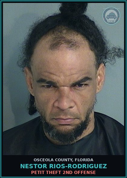 CCW arrest card for NESTOR RIOS-RODRIGUEZ in Osceola County: PETIT THEFT 2ND OFFENSE
