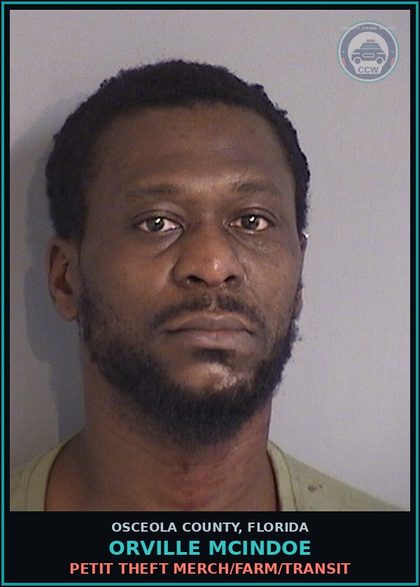 CCW arrest card for ORVILLE MCINDOE in Osceola County: PETIT THEFT MERCH/FARM/TRANSIT