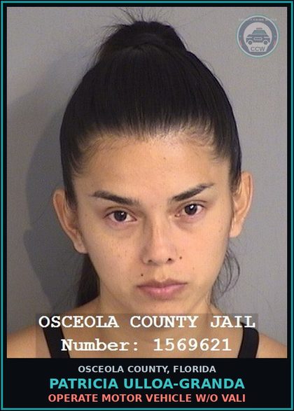 CCW arrest card for PATRICIA ULLOA-GRANDA in Osceola County: OPERATE MOTOR VEHICLE W/O VALI