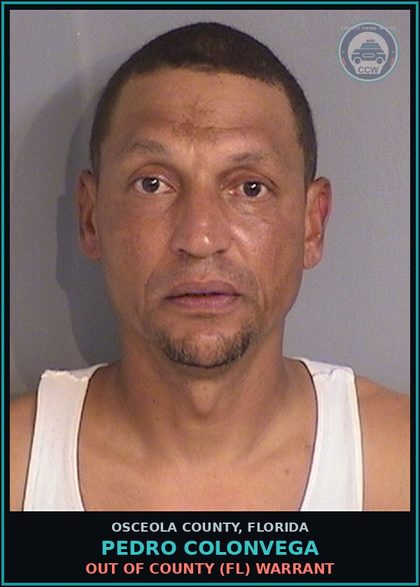 CCW arrest card for PEDRO COLONVEGA in Osceola County: OUT OF COUNTY (FL) WARRANT