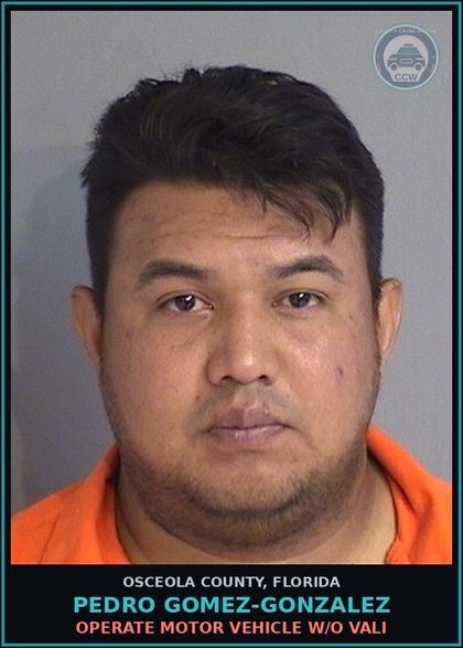 CCW arrest card for PEDRO GOMEZ-GONZALEZ in Osceola County: OPERATE MOTOR VEHICLE W/O VALI