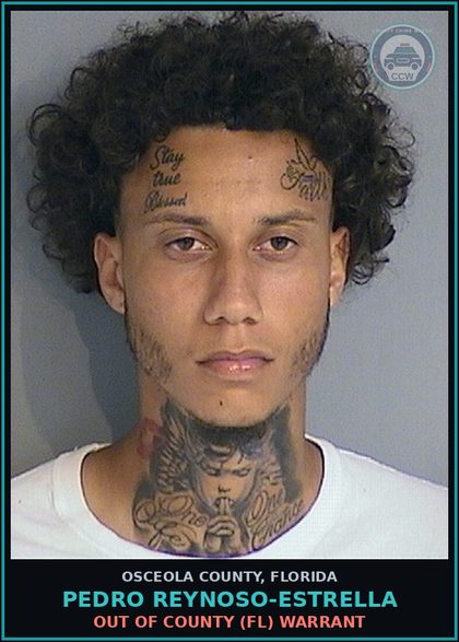 CCW arrest card for PEDRO REYNOSO-ESTRELLA in Osceola County: OUT OF COUNTY (FL) WARRANT