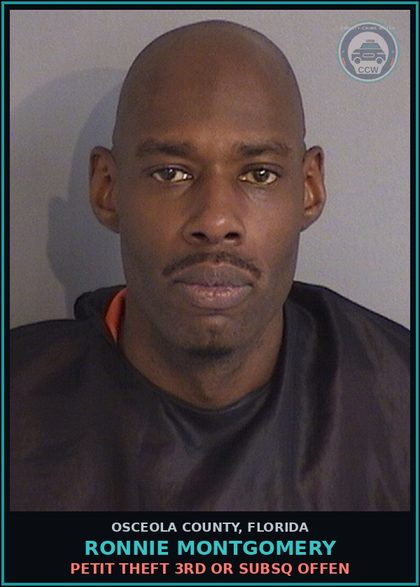 CCW arrest card for RONNIE MONTGOMERY in Osceola County: PETIT THEFT 3RD OR SUBSQ OFFEN