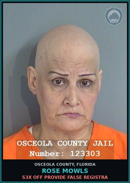 CCW arrest card for ROSE MOWLS in Osceola County: s3x OFF PROVIDE FALSE REGISTRA