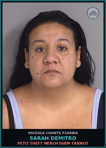 CCW arrest card for SARAH DEMITRO in Osceola County: PETIT THEFT MERCH FARM TRANSIT
