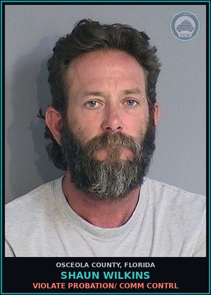 CCW arrest card for SHAUN WILKINS in Osceola County: VIOLATE PROBATION/ COMM CONTRL