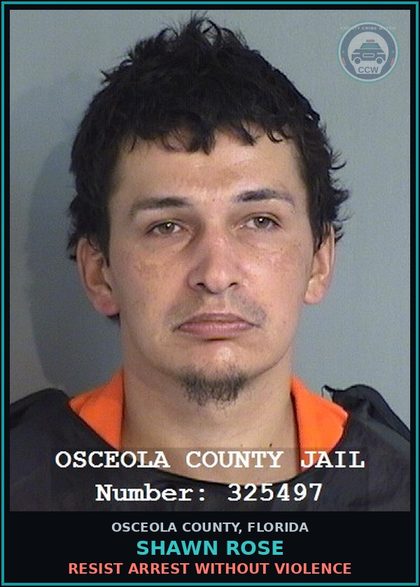 CCW arrest card for SHAWN ROSE in Osceola County: POSSESS contr substance W