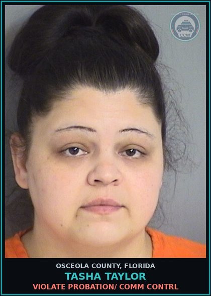 CCW arrest card for TASHA TAYLOR in Osceola County: VIOLATE PROBATION/ COMM CONTRL