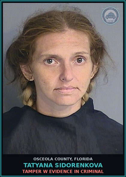 CCW arrest card for TATYANA SIDORENKOVA in Osceola County: TAMPER W EVIDENCE IN CRIMINAL