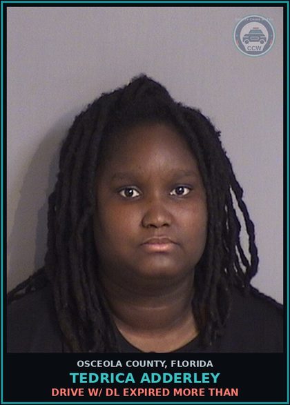 CCW arrest card for TEDRICA ADDERLEY in Osceola County: DRIVE W/ DL EXPIRED MORE THAN