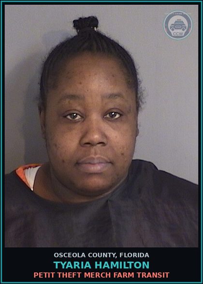CCW arrest card for TYARIA HAMILTON in Osceola County, Florida: PETIT THEFT MERCH FARM TRANSIT