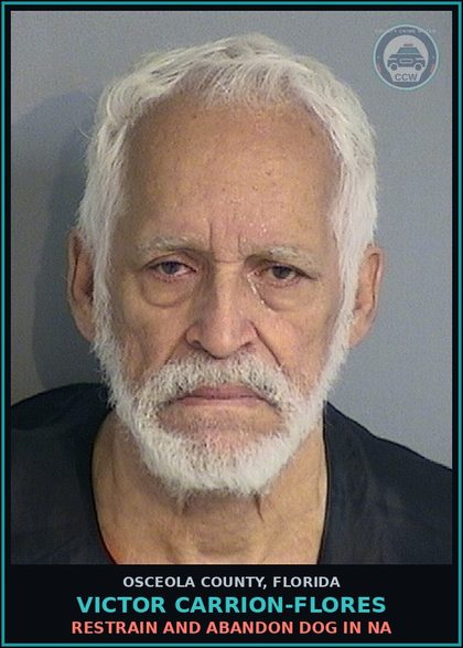 CCW arrest card for VICTOR CARRION-FLORES in Osceola County: RESTRAIN AND ABANDON DOG IN NA