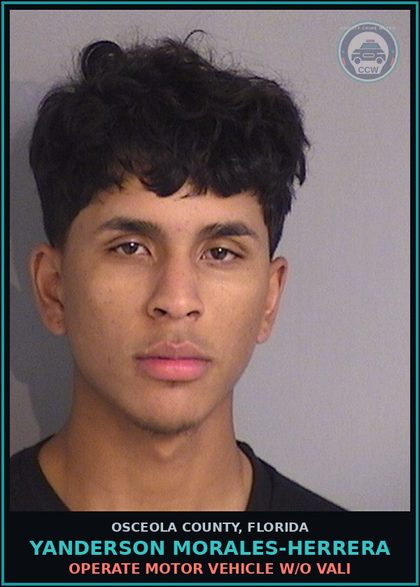 CCW arrest card for YANDERSON MORALES-HERRERA in Osceola County: OPERATE MOTOR VEHICLE W/O VALI
