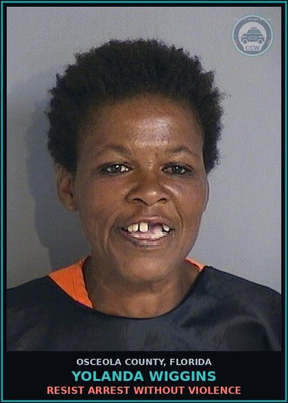 CCW arrest card for YOLANDA WIGGINS in Osceola County: RESIST ARREST WITHOUT VIOLENCE