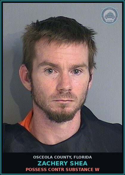 CCW arrest card for ZACHERY SHEA in Osceola County: POSSESS contr substance W