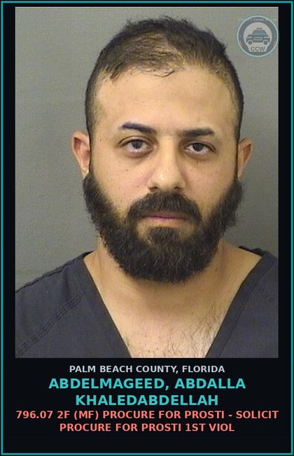 CCW arrest card for ABDELMAGEED, ABDALLA KHALEDABDELLAH in Palm Beach County: 796.07 2F (MF) PROCURE FOR Prosti - SOLICIT PROCURE FOR Prosti 1ST VIOL