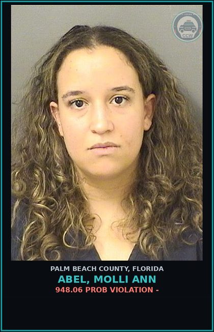 CCW arrest card for ABEL, MOLLI ANN in Palm Beach County: 948.06 PROB VIOLATION -