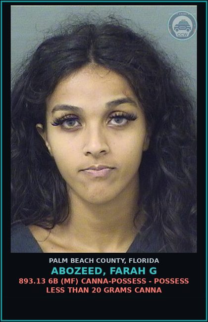 CCW arrest card for ABOZEED, FARAH G in Palm Beach County: 316.193 1A (MS) DUI-UNLAW BLD ALCH - DUI INFLUENCE OF ALCOHOL OR DRUGS