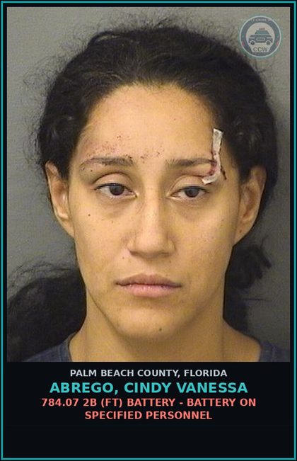 CCW arrest card for ABREGO, CINDY VANESSA in Palm Beach County: 784.07 2B (FT) BATTERY - BATTERY ON SPECIFIED PERSONNEL